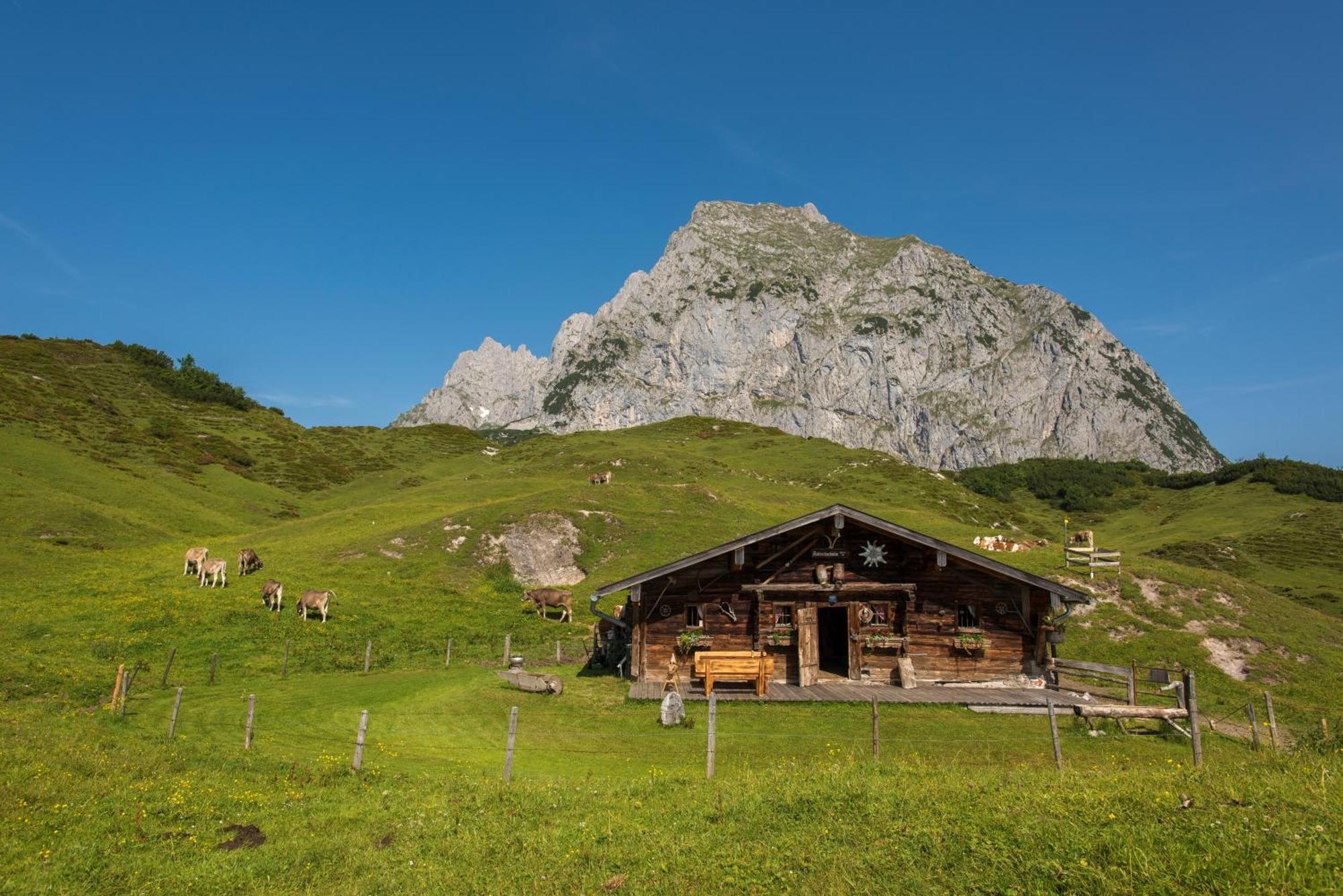 Cooee Alpin Hotel Kitzbueheler Alpen Санкт-Йоганн-ін-Тіроль Екстер'єр фото